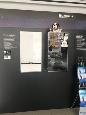Котлы Buderus Одесса