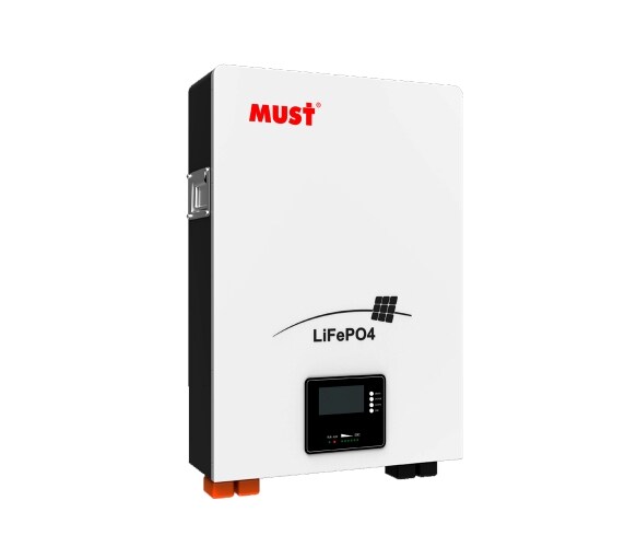 Must LiFePO4 51.2V 100Ah